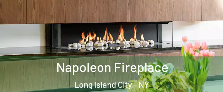 Napoleon Fireplace Long Island City - NY
