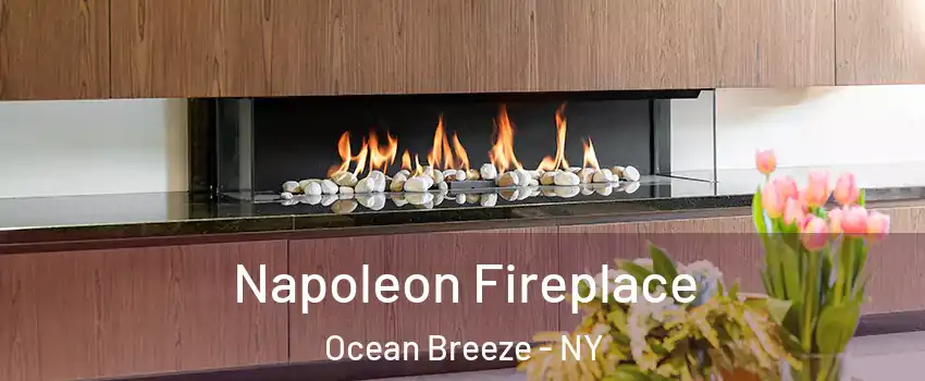 Napoleon Fireplace Ocean Breeze - NY
