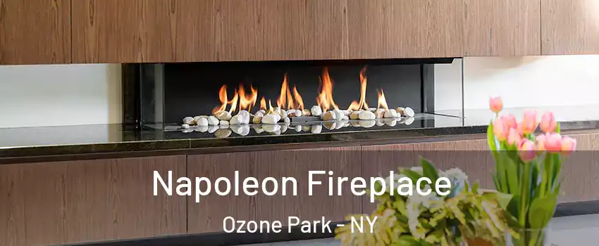 Napoleon Fireplace Ozone Park - NY