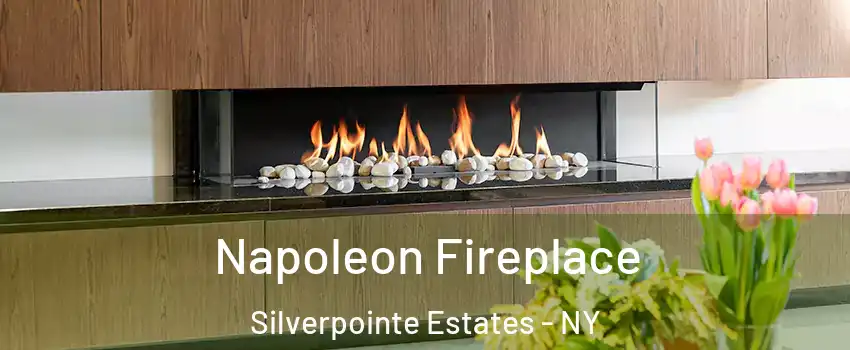 Napoleon Fireplace Silverpointe Estates - NY