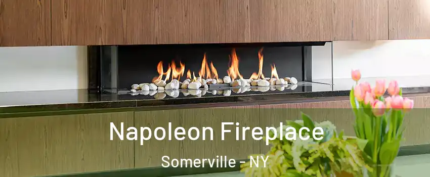 Napoleon Fireplace Somerville - NY