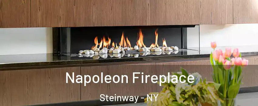 Napoleon Fireplace Steinway - NY