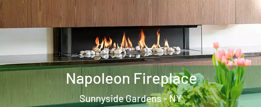 Napoleon Fireplace Sunnyside Gardens - NY