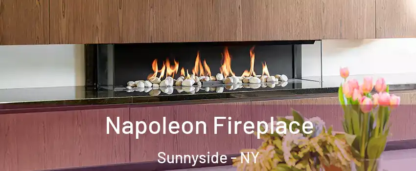 Napoleon Fireplace Sunnyside - NY