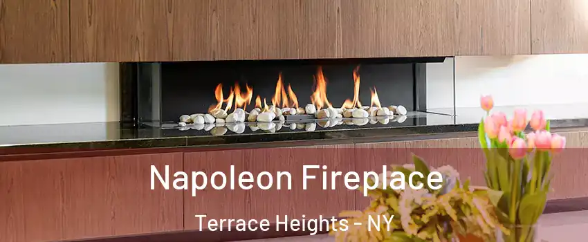 Napoleon Fireplace Terrace Heights - NY