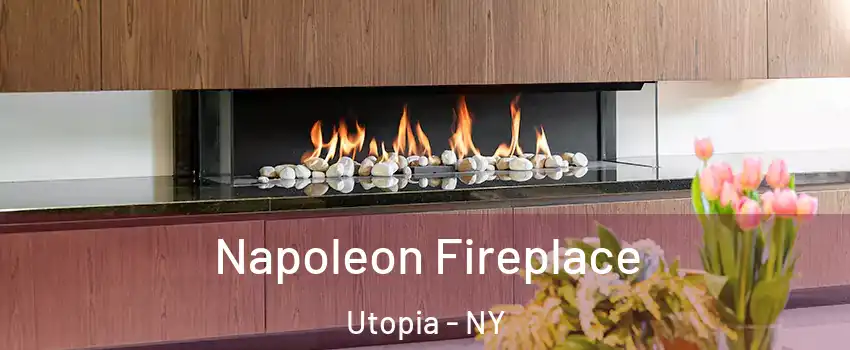 Napoleon Fireplace Utopia - NY