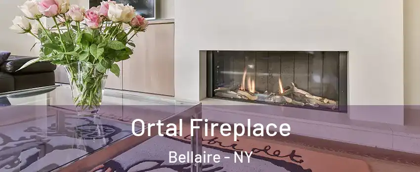 Ortal Fireplace Bellaire - NY