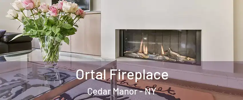 Ortal Fireplace Cedar Manor - NY