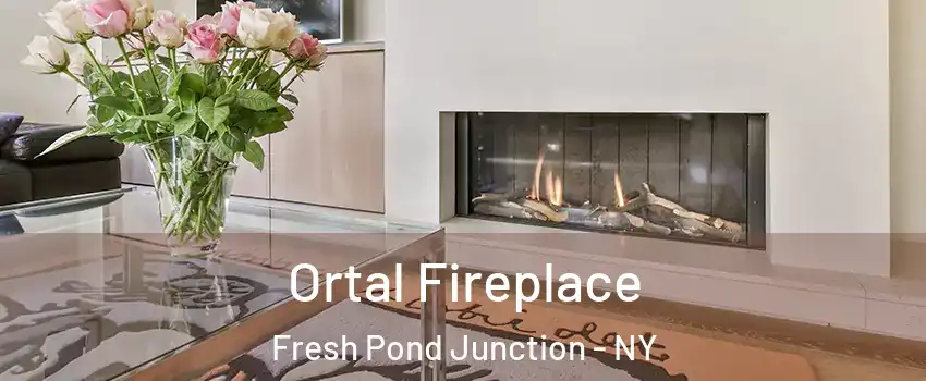 Ortal Fireplace Fresh Pond Junction - NY