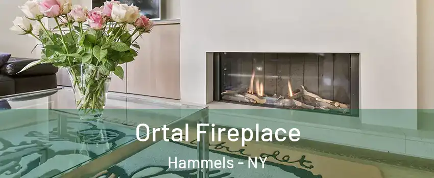 Ortal Fireplace Hammels - NY