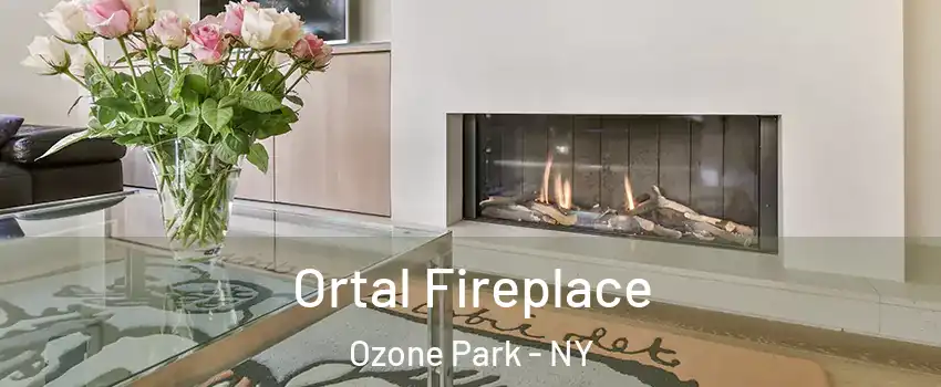 Ortal Fireplace Ozone Park - NY