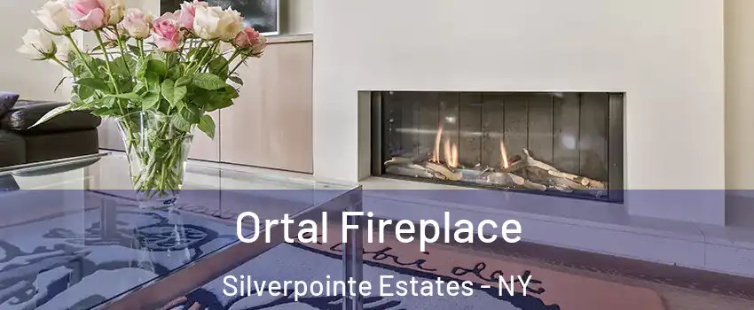 Ortal Fireplace Silverpointe Estates - NY