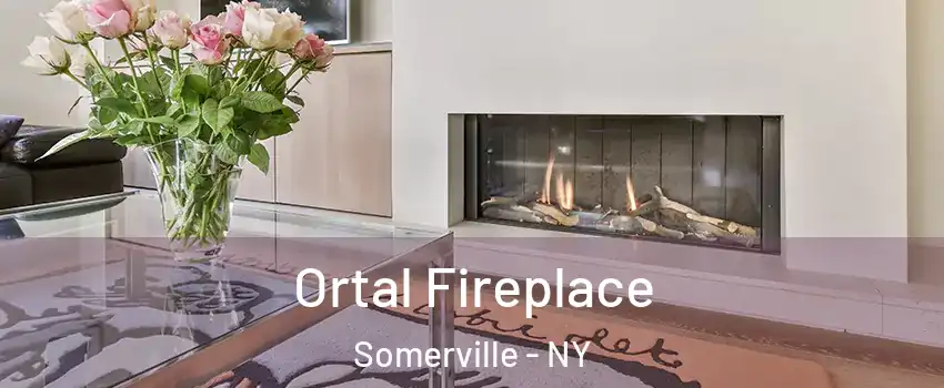 Ortal Fireplace Somerville - NY