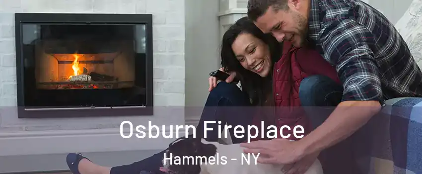 Osburn Fireplace Hammels - NY