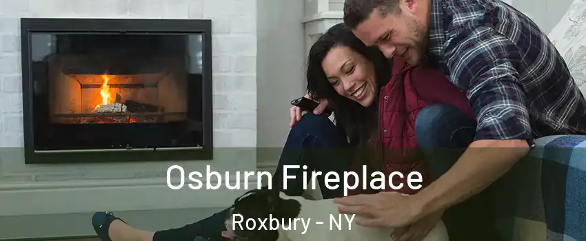 Osburn Fireplace Roxbury - NY