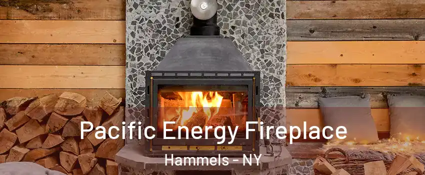 Pacific Energy Fireplace Hammels - NY