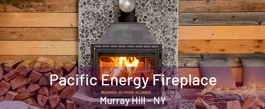 Pacific Energy Fireplace Murray Hill - NY