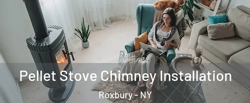 Pellet Stove Chimney Installation Roxbury - NY