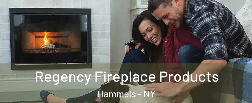 Regency Fireplace Products Hammels - NY