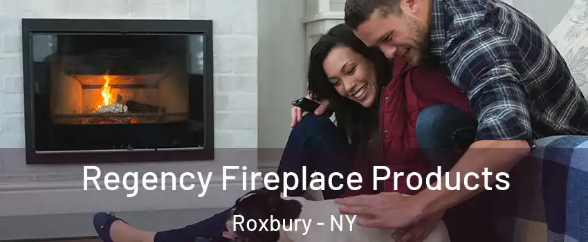 Regency Fireplace Products Roxbury - NY