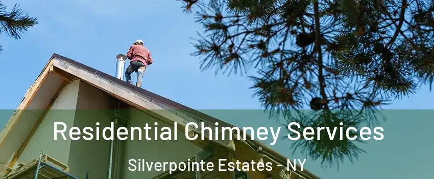 Residential Chimney Services Silverpointe Estates - NY