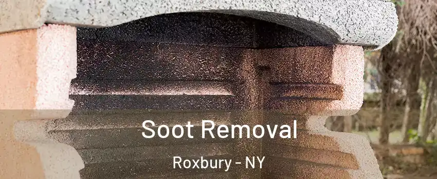 Soot Removal Roxbury - NY