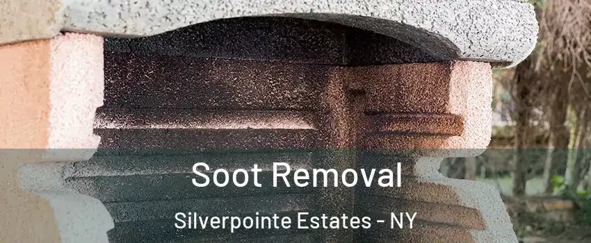 Soot Removal Silverpointe Estates - NY