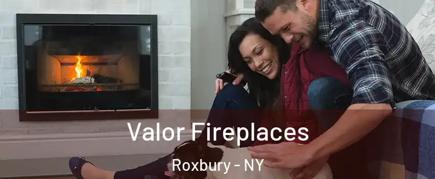 Valor Fireplaces Roxbury - NY