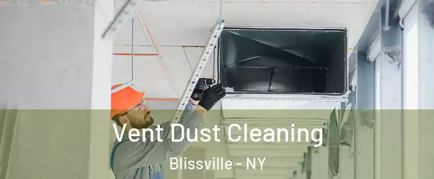Vent Dust Cleaning Blissville - NY