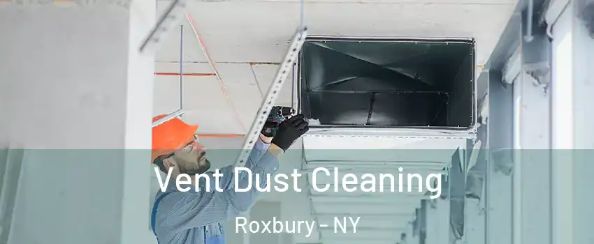 Vent Dust Cleaning Roxbury - NY