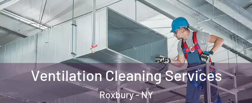 Ventilation Cleaning Services Roxbury - NY
