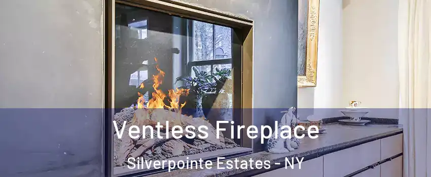 Ventless Fireplace Silverpointe Estates - NY