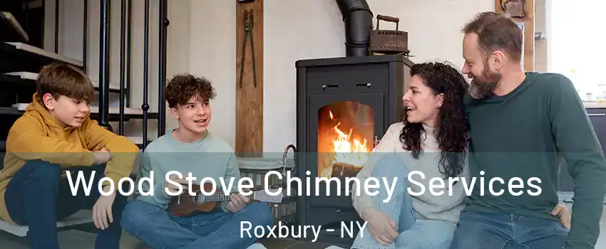 Wood Stove Chimney Services Roxbury - NY