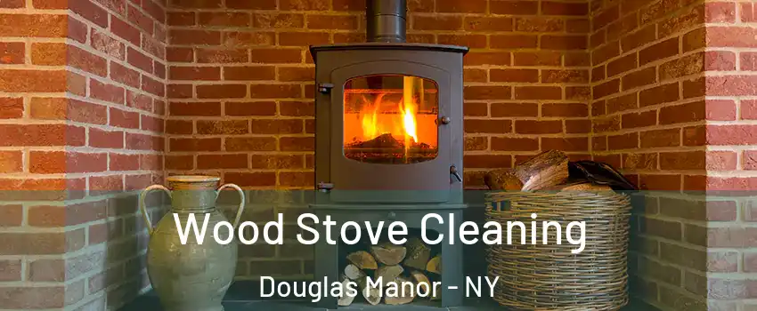 Wood Stove Cleaning Douglas Manor - NY