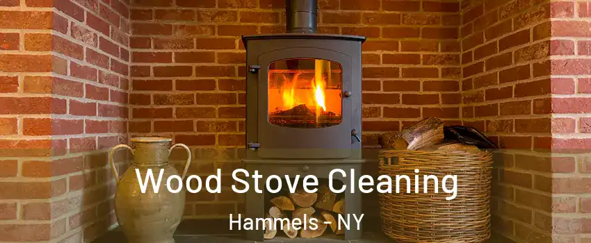 Wood Stove Cleaning Hammels - NY