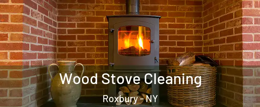 Wood Stove Cleaning Roxbury - NY