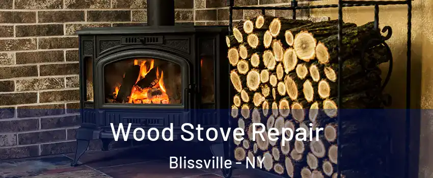 Wood Stove Repair Blissville - NY