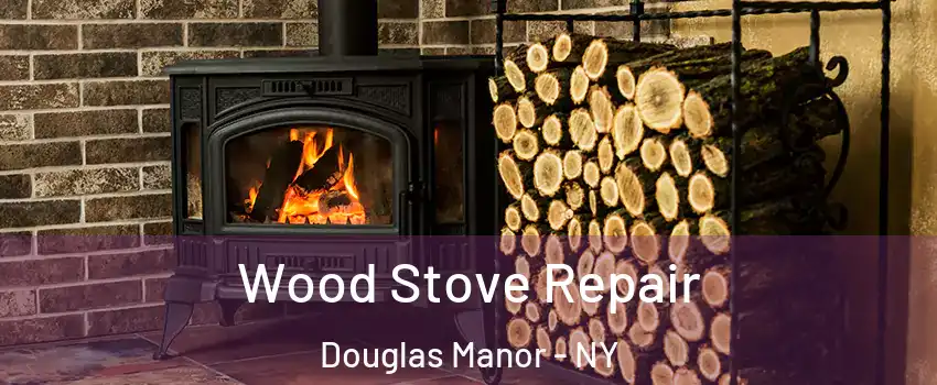Wood Stove Repair Douglas Manor - NY