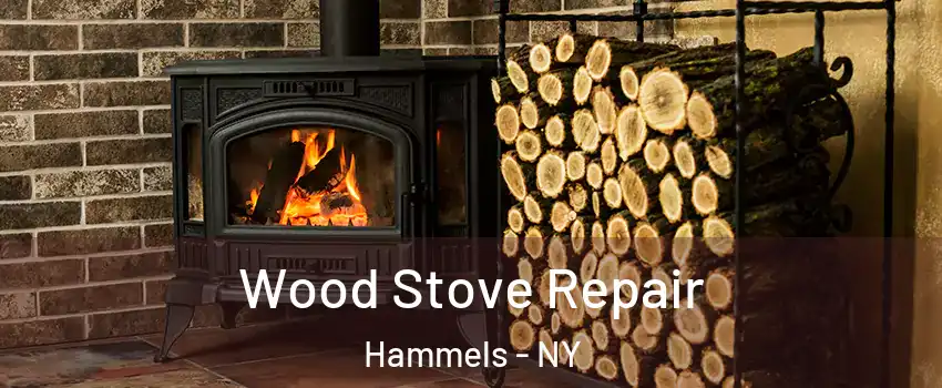 Wood Stove Repair Hammels - NY