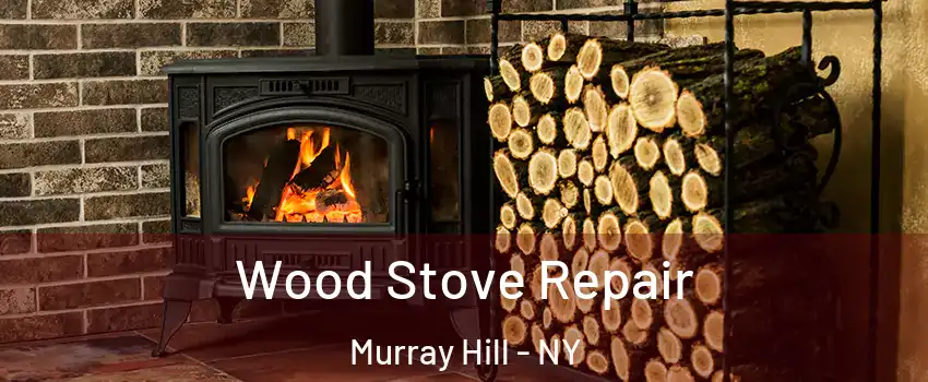Wood Stove Repair Murray Hill - NY