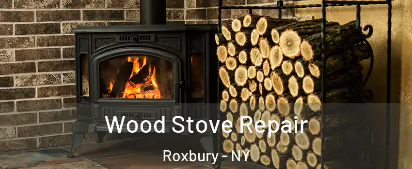 Wood Stove Repair Roxbury - NY
